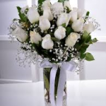 kocaeli beyaz güller