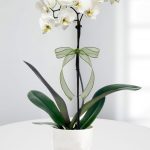 tek dallı seramik saksıda orkide
